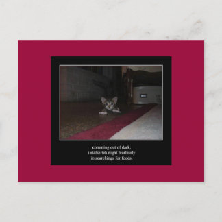 haiku kat 1 briefkaart