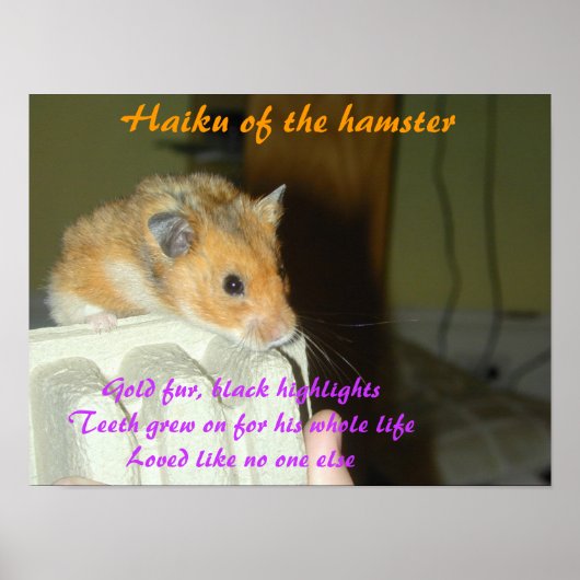Haiku van de Hamster 1 Poster (Voorkant)