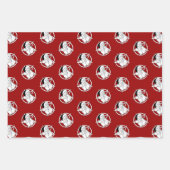 Hail Santa Inpakpapier Vel (Voorkant 3)