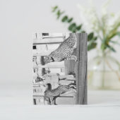 Haile Selassie - HIM - Rastafari - Briefkaart (Staand voorkant)