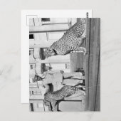 Haile Selassie - HIM - Rastafari - Briefkaart (Voorkant / Achterkant)