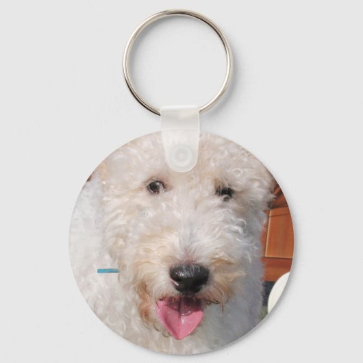 Hailey - Wire Fox Terrier Photo-8 Sleutelhanger (Voorkant)