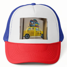 Hailing Adventures: De Taxireiservaring"