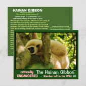 Hainan Gibbon wordt bedreigd: < 25 links Briefkaart (Voorkant / Achterkant)