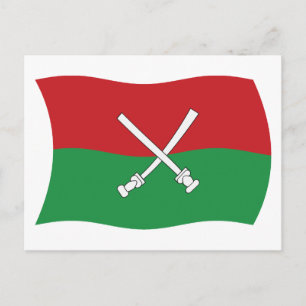 Hainan Li & Miao Vlag Postkaart