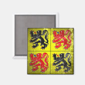 Hainaut Magneet (Voorkant / Achterkant)