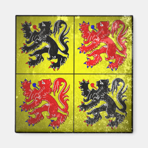 Hainaut Magneet