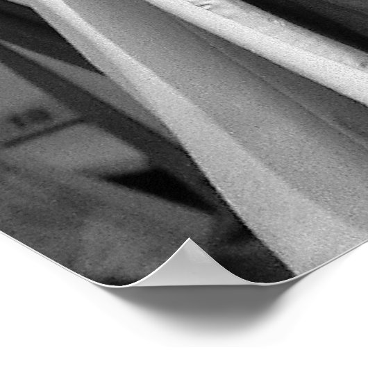 Hair Envy Poster (Hoek)