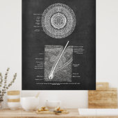 Hair Follicle Anatomy Art Poster (Keuken)