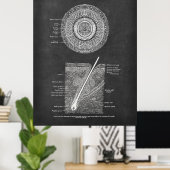 Hair Follicle Anatomy Art Poster (Thuiskantoor)