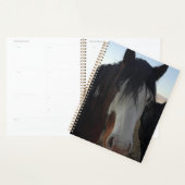 Hair in the Eyes Planner (Display)