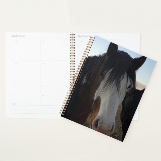 Hair in the Eyes Planner (Display)