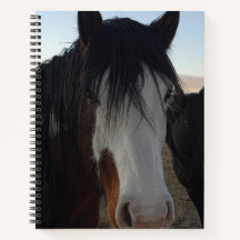 Hair in the Eyes Spiral Notebook