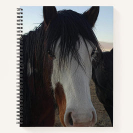 Hair in the Eyes Spiral Notebook Notitieboek