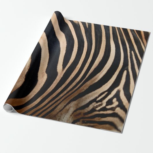 hair skin of zebraskin,animal,background,black,bod cadeaupapier (Uitgerold)