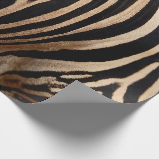hair skin of zebraskin,animal,background,black,bod cadeaupapier (Hoek)