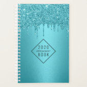 Hair Stylist Turquoise Glitter Drips Appointment Planner (Voorkant)