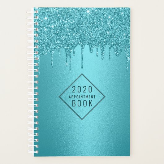 Hair Stylist Turquoise Glitter Drips Appointment Planner (Voorkant)
