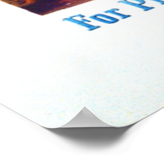 Hair Tonic Advertisement 1860 Poster (Hoek)