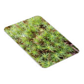 Haircap Moss Magnet Magneet (Rechterzijde)