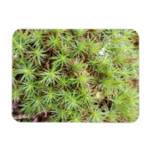 Haircap Moss Magnet Magneet (Horizontaal)