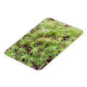 Haircap Moss Magnet Magneet (Linkerzijde)