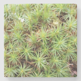 Haircap Moss Stone Coaster Stenen Onderzetter