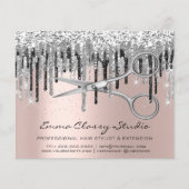 Hairdresser Nail Stylist Silver Grey Roos Drivers Flyer (Voorkant)