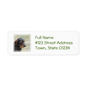 Haired Hond Daschund van de draad Etiket