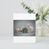 HAIRLESS CAT'S CHRISTMAS FEESTDAGENKAART (Staand voorkant)