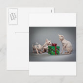 HAIRLESS CAT'S CHRISTMAS FEESTDAGENKAART (Voorkant / Achterkant)