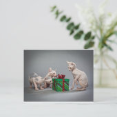 HAIRLESS CAT'S CHRISTMAS FEESTDAGENKAART (Staand voorkant)