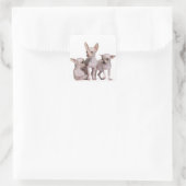 Hairless Chihuahua (5 en 7 maanden oud) Vierkante Sticker (Tas)