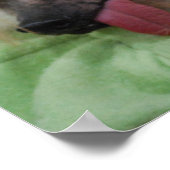 Hairless Chinese Crested Dog Poster (Hoek)