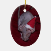 Hairless Pet Rat Lydia Ornament (Voorkant)
