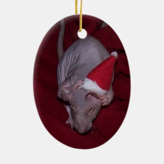 Hairless Pet Rat Lydia Ornament (Achterkant)