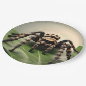 Hairy Australian Tarantula: de zachte reus van de Papieren Bordje (Gekanteld)