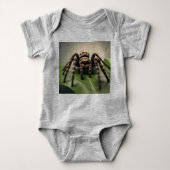 Hairy Australian Tarantula: de zachte reus van de Romper (Voorkant)