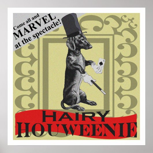 Hairy Houweenie! Wiener Dog "Carnival"-Poster Poster (Voorkant)
