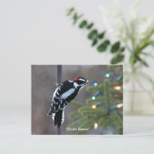 Hairy Woodpecker met Kerstmis Briefkaart (Staand voorkant)