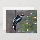 Hairy Woodpecker met Kerstmis Briefkaart (Voorkant / Achterkant)