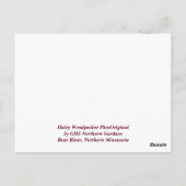 Hairy Woodpecker met Kerstmis Briefkaart (Achterkant)