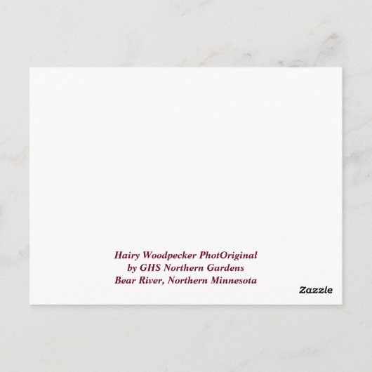 Hairy Woodpecker met Kerstmis Briefkaart (Achterkant)