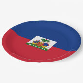 Haiti Flag Papieren Bordje (Gekanteld)