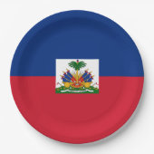 Haiti Flag Papieren Bordje (Voorkant)