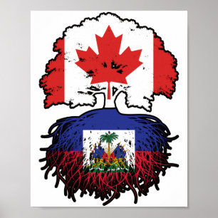 Haïti Haïtiaans Canadees Canada - vlag over boomst Poster