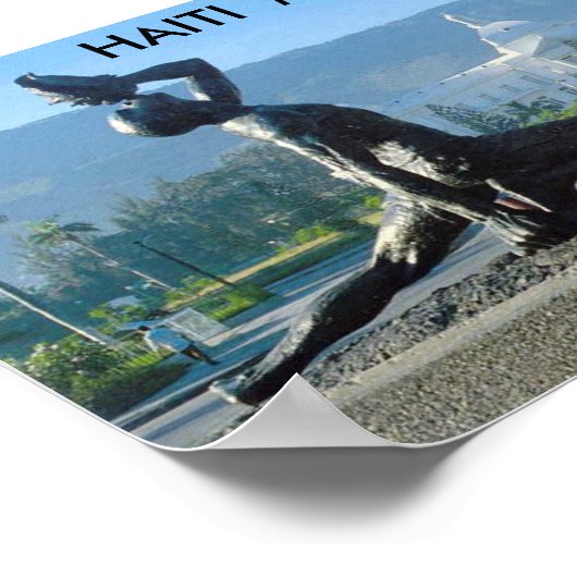 HAITI MAROONS POSTER (Hoek)