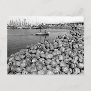 Haïti Port Au Prince Briefkaart