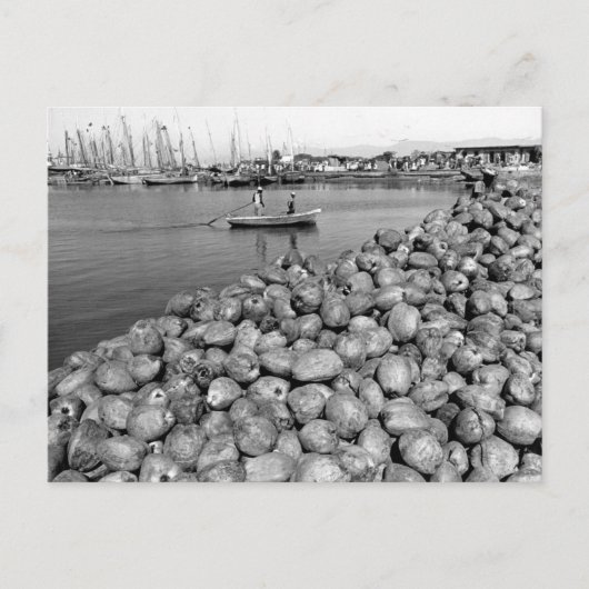 Haïti Port Au Prince Briefkaart (Voorkant)