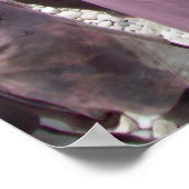 Haïtiaanse hongergezichten poster (Hoek)